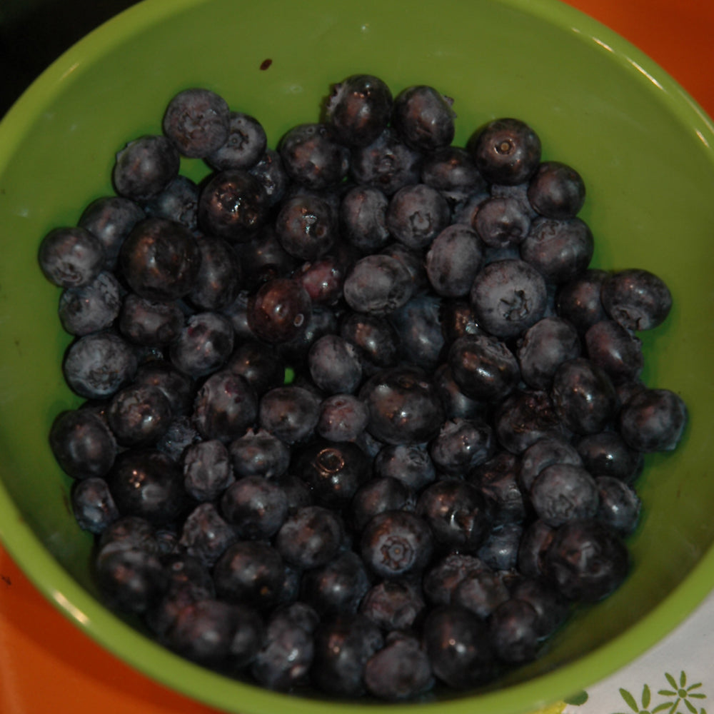 Peach Sorbet® Blueberry