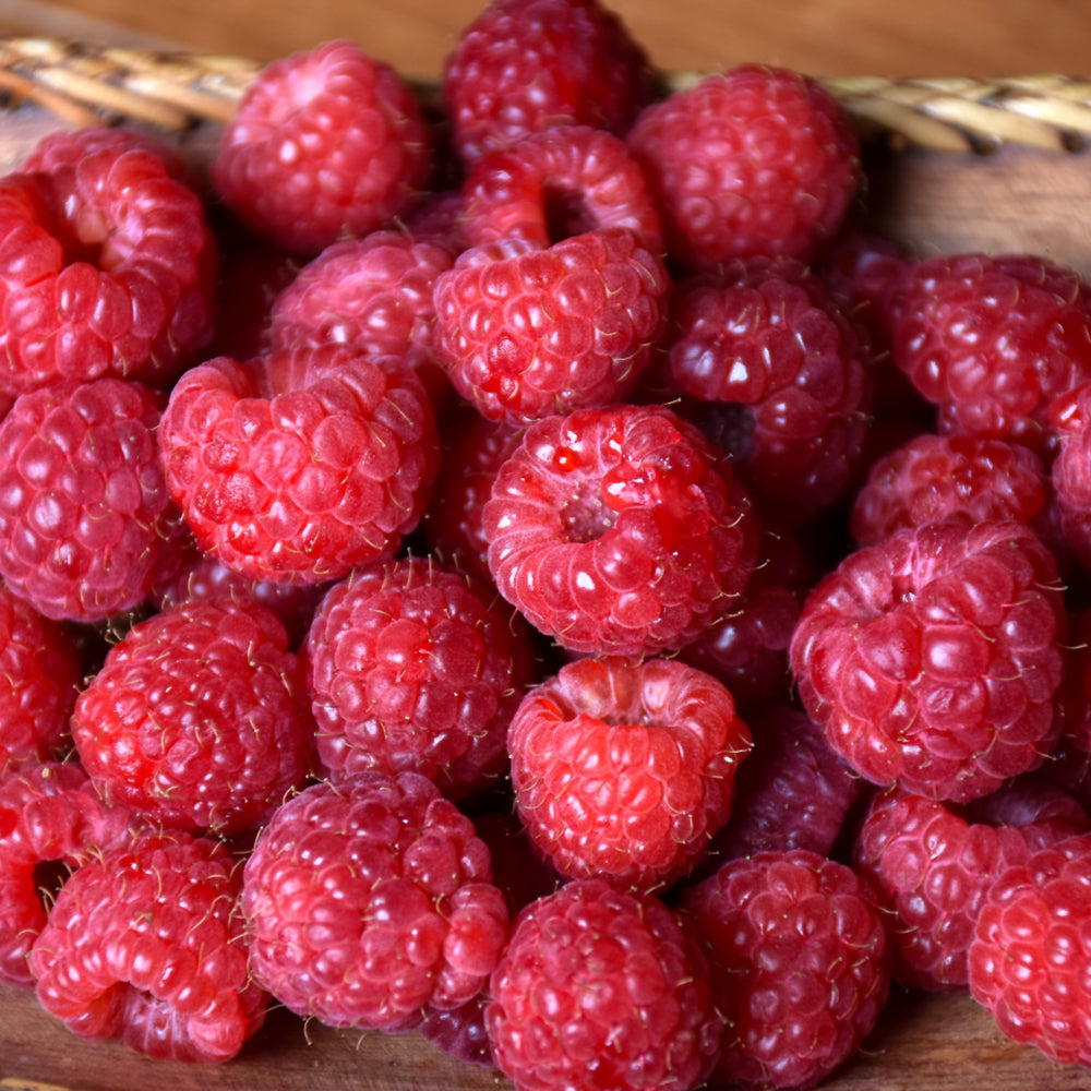 Heritage Raspberry